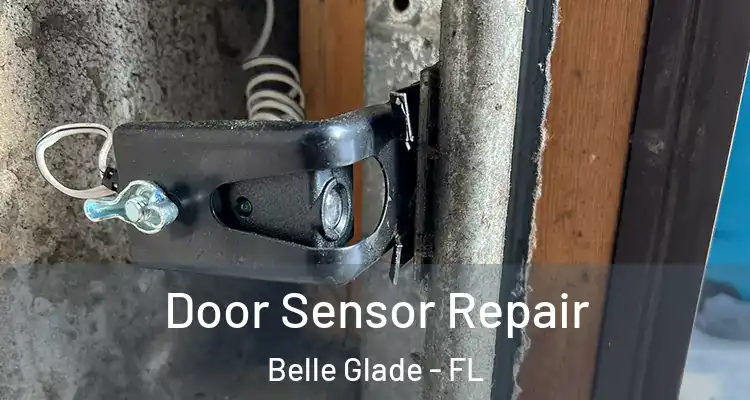  Door Sensor Repair Belle Glade - FL