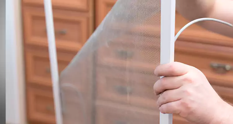 Privacy Mesh Screen Door Installation in Belle Glade, FL