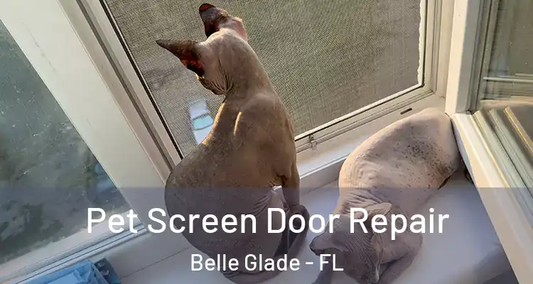  Pet Screen Door Repair Belle Glade - FL